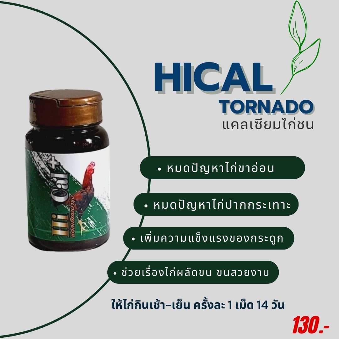 ไก่ผลัดขนในช่วงหน้าฝนต้องเสริมแคลเซียมตัวนี้