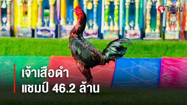 เจ้าเสือดำ แชมป์ 46.2 ล้าน