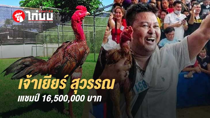 เจ้าเยียร์สุวรรณ ปะทะ เจ้าสึนามิ ศึกไก่ชนเงินล้าน 16.5 ล้าน สนามชนไก่อาลดิน